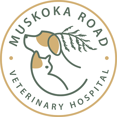 Logo website Muskoka Road Vet